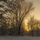 Cold warm sun.